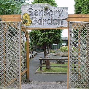 SENSORY GARDEN