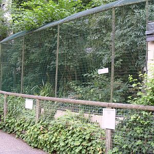 Geoffreys Cat Enclosure