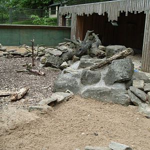 Mongoose Enclosure
