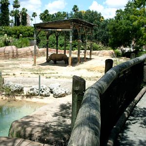 Old Elephant enclosure...july