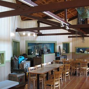 Explorers Outpost - Aquariums