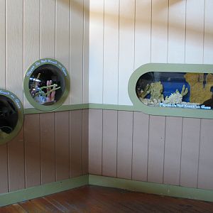 Explorers Outpost - Aquariums