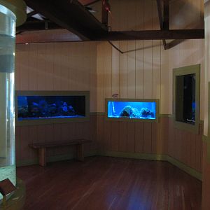 Explorers Outpost - Aquariums
