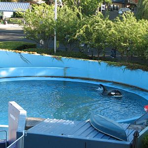 Shouka Stadium - 1 of 3 Holding Pools