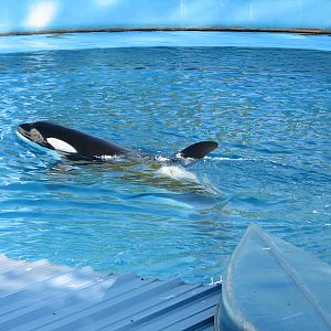 Shouka Stadium - Shouka