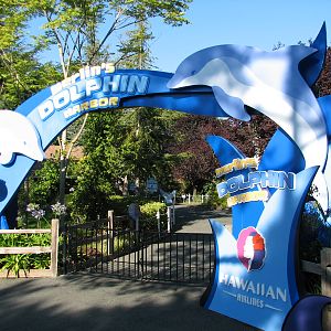 Merlins Dolphin Harbor - Entry