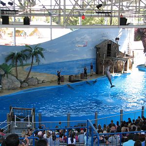 Merlins Dolphin Harbor - Show Pool and Stage