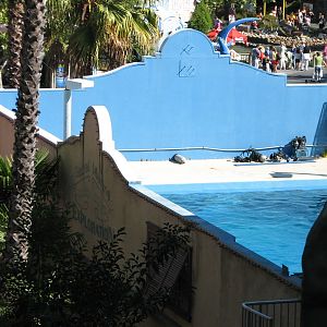 Merlins Dolphin Harbor - Holding Pool