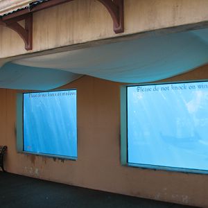 Merlins Dolphin Harbor - Holding Pool Underwater Viewing Area