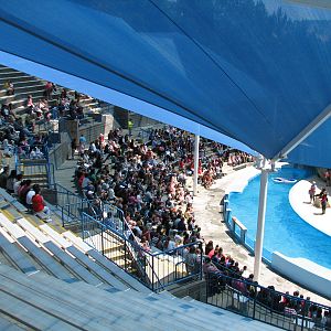 Odies Sea Lion Stadium - Seating Area