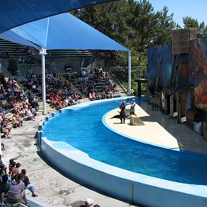 Odies Sea Lion Stadium - Show Pool and Stage