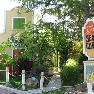 Ocean Discovery - Seal Cove - Entry