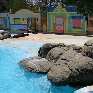 Ocean Discovery - Seal Cove - Harbor Seal and California Sea Lion Exhibit