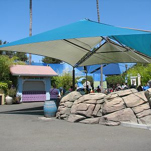 Ocean Discovery - Stingray Bay