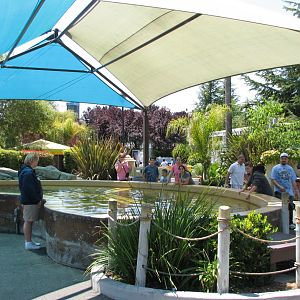 Ocean Discovery - Stingray Bay