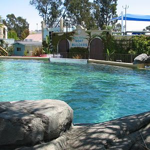 Ocean Discovery - Dolphin Encounter - Bottlenose Dolphin Exhibit