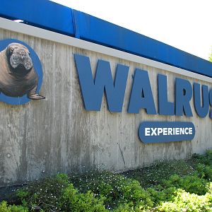 Jockos Walrus Experience - Sign