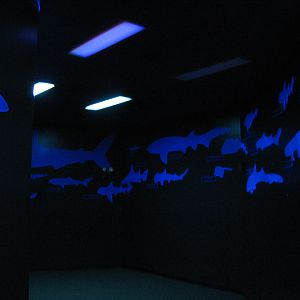 Shark Experience - Entry Hall