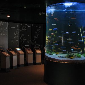 Shark Experience - Display Hall