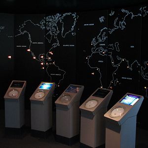 Shark Experience - Display Hall