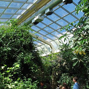 Butterfly - Interior