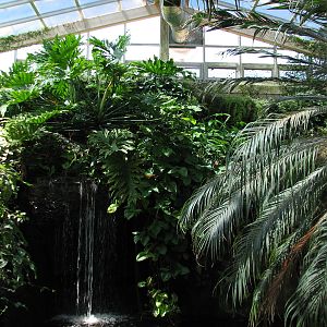 Butterfly - Interior