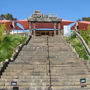 Odins Temple of the Tiger - Entry