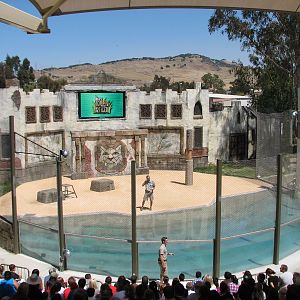 Odins Temple of the Tiger - Show Pool and Stage