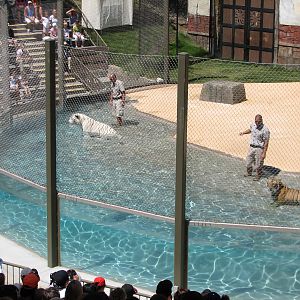 Odins Temple of the Tiger - Show Pool