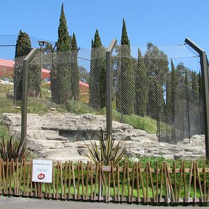 Odins Temple of the Tiger - First Exhibit