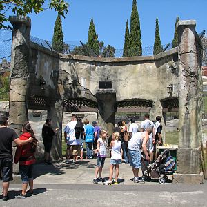 Odins Temple of the Tiger - Exhibits Viewing Windows