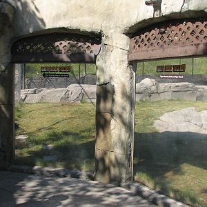 Odins Temple of the Tiger - Second Exhibit Viewing Windows