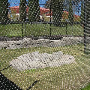 Odins Temple of the Tiger - Second Exhibit