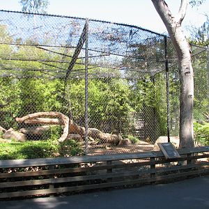 Cougar Rocks - Exhibit