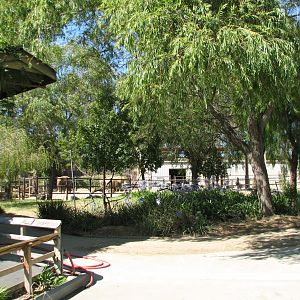 Elephant Encounter - Elephant Ride Area