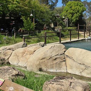 Elephant Encounter - Exhibit Pool