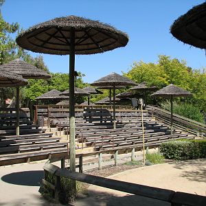 Elephant Encounter - Demonstration Seating Area