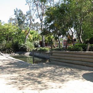 Elephant Encounter - Demonstration Yard