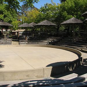 Elephant Encounter - Show Amphitheater