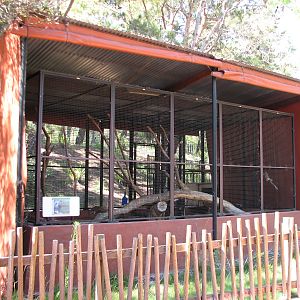 Tavas Jungleland - North American Porcupine Exhibit