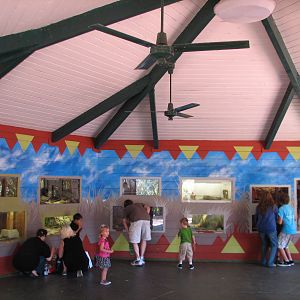 Tavas Jungleland - Reptile Discovery - Interior