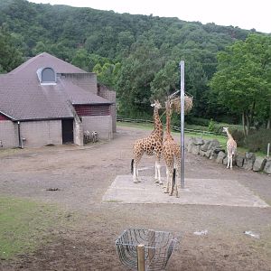 View from the new viewing platform