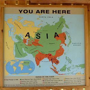 Tiger Trek - Signage