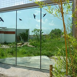 Tiger Trek - Tiger Exhibit