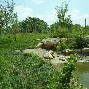 Tiger Trek - Tiger Exhibit