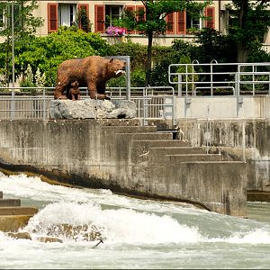 Bear-statue at bern