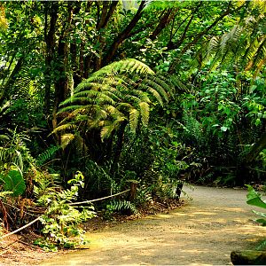 Masoala-hall at Zürich Zoo