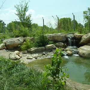 Tiger Trek - Tiger Exhibit