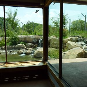 Tiger Trek - Tiger Exhibit