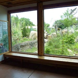 Tiger Trek - Red Panda Exhibit